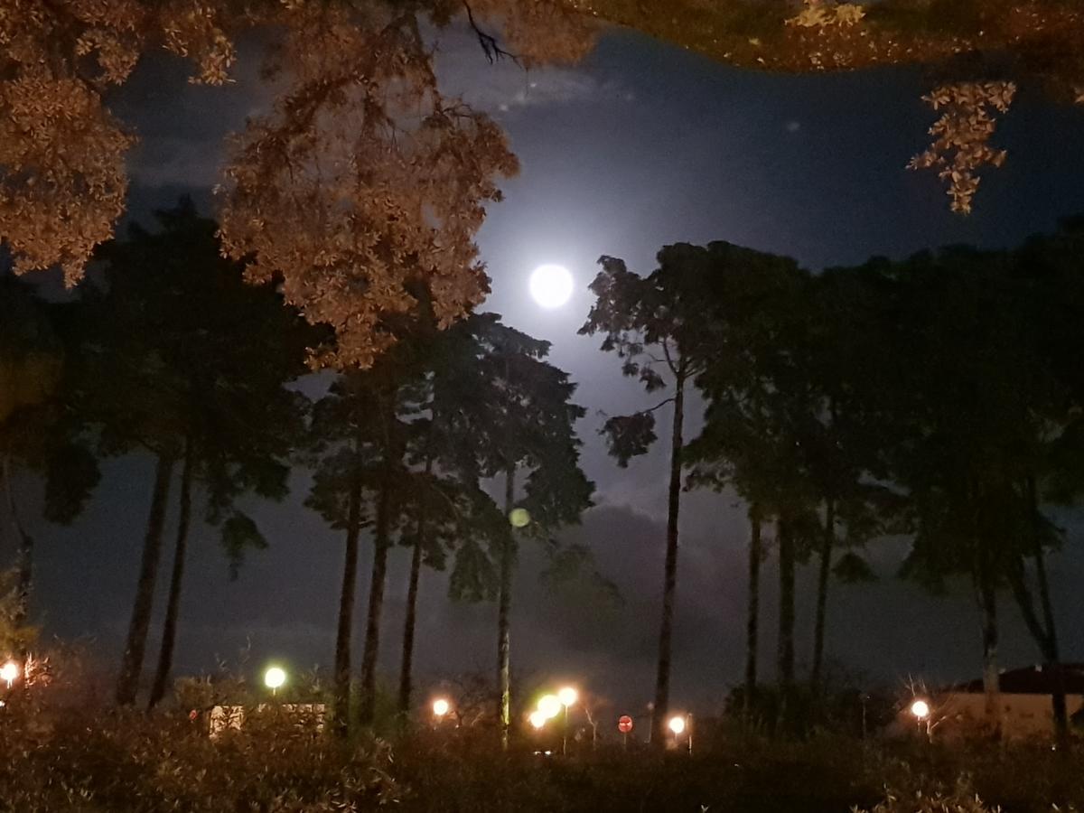 Hotel Casa Dos Tios Fátima Zewnętrze zdjęcie